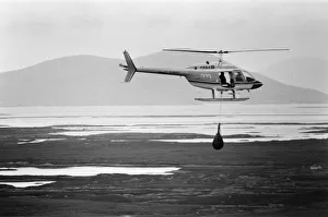 00513 Prints: Hercules The Bear, tracked down and captured on the waste moorlands of North Uist