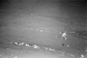 00513 Prints: Hercules The Bear, tracked down and captured on the waste moorlands of North Uist