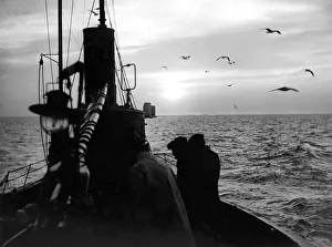 Fishermen Prints: A herring drifter heading for home as the sun comes up and gulls wheel overhead in 1949