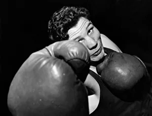 Aggression Prints: Hes one in the eye. Boxer 21yr. old Cliff Chepper field training in the Royal