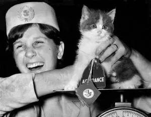 Weight Prints: This high flying kitten is bound for Paris and is travelling first class with Air France