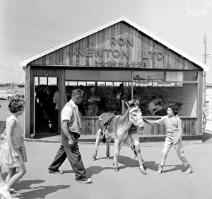 Donkey Prints: Holidaymakers outside a betting shop in the form of a wooden chalet on the beach