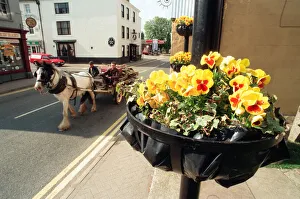 Flowers And Plants Prints: A horse and cart makes it way along Shipston-on-Stour High Street, Warwickshire