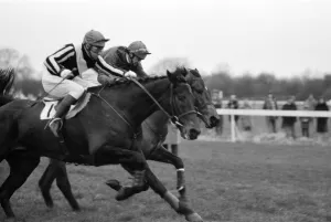 Windsor Prints: Horse racing at Windsor. Even up (Jeff King) is stride for stride with Egbert