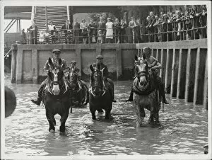 Images Dated 20th July 2021: The horse wash at at Victoria Pier, Hull 15th June 1948
