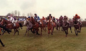 00077 Prints: Horseracing Grand National Aintree April 1993 General shot of Horses running