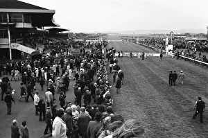 Course Prints: The horses for the Daily Mirror Womens Race are parade before the grandstand at Redcar