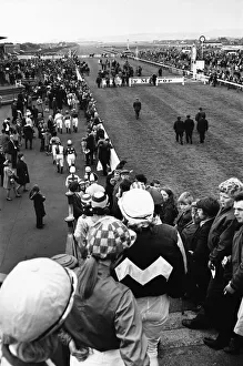 Flat Prints: The horses and jockeys for the Daily Mirror Womens Race are parade before the grandstand