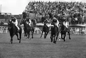 00038 Prints: Horses straightening up after jumping the Canal Turn for the last time during the Grand