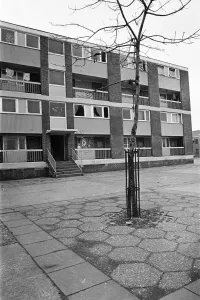 Middlesbrough Prints: Housing conditions in St Hilda s, Middlesbrough. 1977