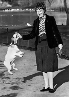 Howes Budget Bites. The Chancellors pet terrier frolics in the park