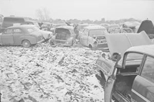 Motor Cars Prints: Some of the hundreds of scrap cars at the Jones Brothers junk yard near London