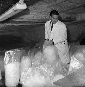 Ice Factory: General scene at a London factory which manufacture ice