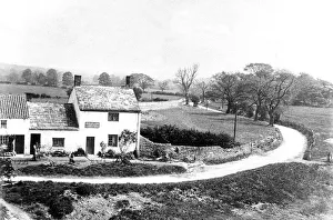 Trees Prints: An idyllic countryside scene at Bridge End Cottages near Hexham