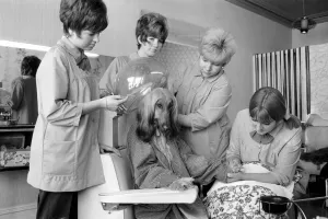 Hairdressers Prints: Impey the pet of Mrs. Anita Doe who owns a Hair and Beauty Salon in Bognor Regis