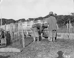 Turban Prints: Indian soldiers of the 3rd Lahore Indian Divisiom drawing water from huge barrels fitted