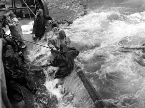 Industry - Fishing Deep Sea Fishing - Fishermen on a trawler haul in their catch