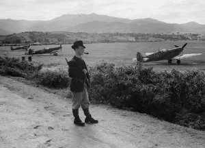 Partisan Prints: Inter-Allied air cooperation is particularly marked in Corsica where units of the French