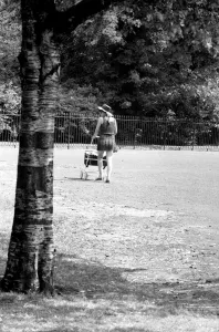 00292 Prints: Introducing the new Rolling Stone : Mike Taylor has taken Brian Jones place in