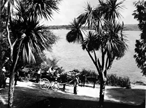 00277 Prints: Irish jaunting cars on an outing by the shores of Middle Lake Killarney, County Kerry