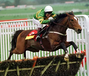 Cheltenham Prints: Istabraq and Charlie Swan win the 1998 Champion Hurdle at Cheltenham 17th March 1998