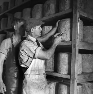 Skills Prints: Jack Wilding, head cheesemaker at Minsterley Creameries, 12 miles from Shrewsbury