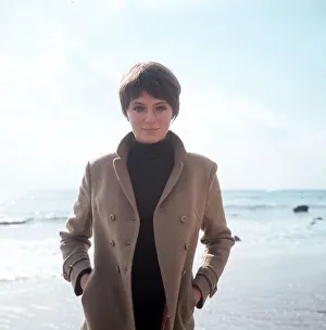 Jacqueline Bisset Actress at her beach home near Malibu California December