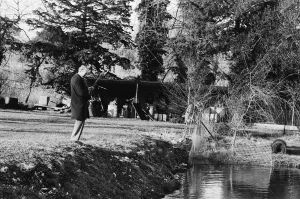 01263 Prints: James Pettigrew, trout farming at Avington Trout Farm, in Itchen Abbas
