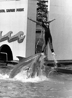 Jan Farrine is hoisted out of the water by a dolphin to surprise onlookers