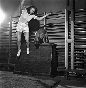 00019 Prints: Janette Gay, a stunt girl in films, does toughening up exercises in a London gym