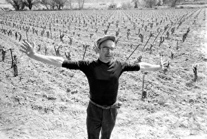 Wine Prints: Jean Theron aged 47, at work in his wine fields just outside his home village of Poussan