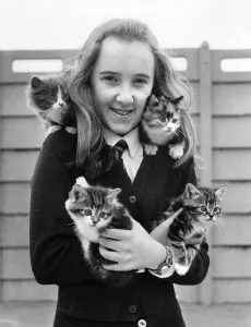 Kittens Prints: Jeanette Gibbons (14) of Court Hey Drive, Liverpool, with four kittens she rescued in her