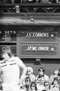 01229 Prints: Jimmy Connors v John McEnroe, Wimbledon Mens Semi Final, Thursday 30th June 1977