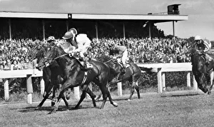 Newcastle Prints: JOCKEY Alec Russell was suspended for three days at Newcastle for causing serious