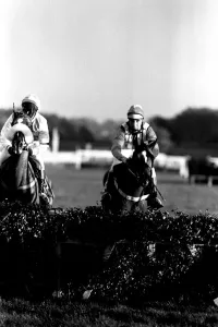 Jockey Geoff Harker rode Green Archer in the Comedy Of Errors Novice s