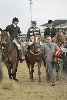 Jockey Graham McCourt on Nortons Coin after winning the Gold Cup race at Cheltenham