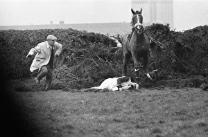 Jockey Paddy Farrell is thrown from his horse Border Flight at the 15th fence of
