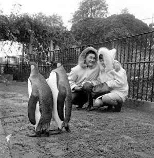 John and Kitty Williams the eskimos went to Regents Park Zoo this morning