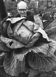 00186 Prints: John McLoughlin grows mammoth plants with the pigeon droppings he collects from his loft