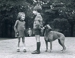 Hiding Prints: Judy the Boxer dog eats an ice cream being held behind the back of 5 year old Carlo