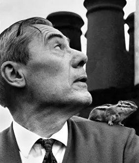 00062 Prints: Juku the chipmunk on his masters shoulder, Mr. Helemar on the roof tops