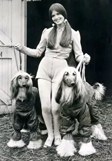 Pets Collection: June Pickering gave up wearing trouser suits the moment hotpants became fashionable but