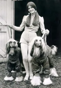June Pickering gave up wearing trouser suits the moment hotpants became fashionable but