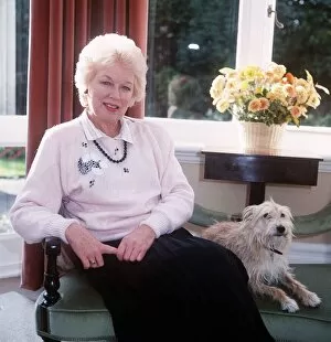 Images Dated 1st October 1987: June Whitfield actress at home - October 1987 Dbase MSI