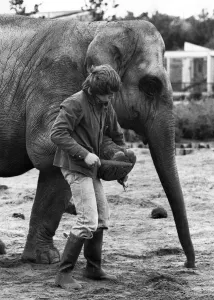 Beauty Treatments Prints: Kate the elephant just puts her feet up - and John Edwards gets down to work