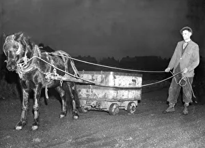 Ponies Prints: Kelly the pit pony came up to work on the surface after 27 years of service below ground