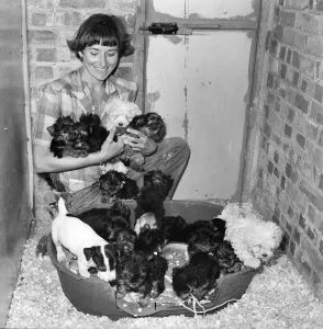 00061 Prints: One of the kennel maids at a animal charity re-homing centre for unwanted