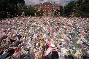 Bouquet Prints: Kensington Palace September 1997 Flowers Floral Tributes to Princess Diana