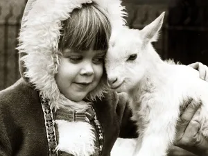 00001 Prints: Kid meets kid. Its an instant friendship for four year old Amanda Tennant