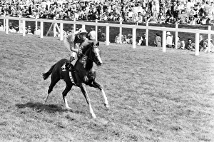 King George VI and Queen Elizabeth Stakes, Ascot, Saturday 23rd July 1977